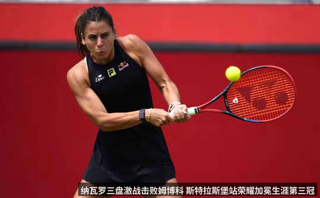任天堂电竞赛事回归 _斯普拉遁3_北美联赛确认启动